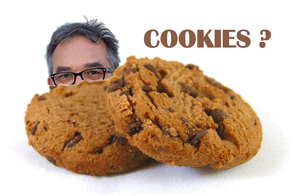 Les cookies du site